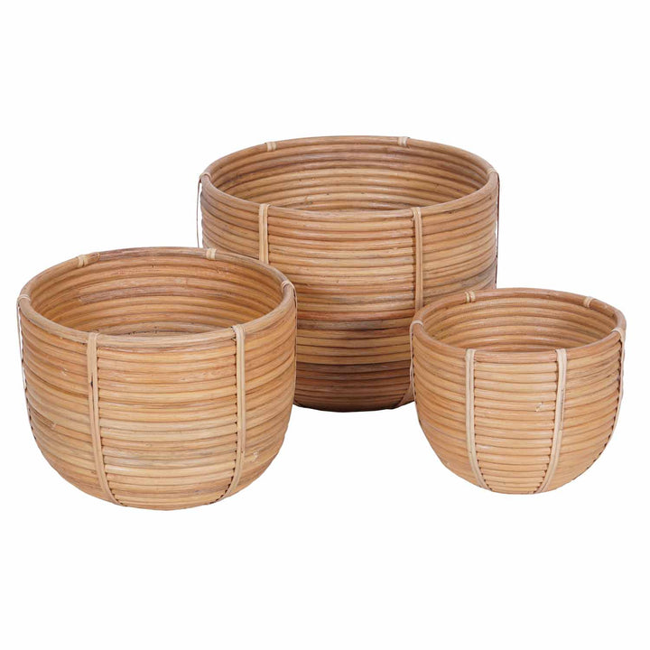 Conjunto de 3 cestos de rattan para flores Cinta