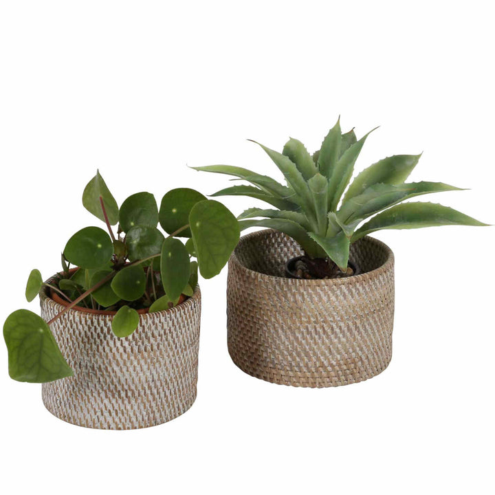 Cesto para talheres Lilia White washed
