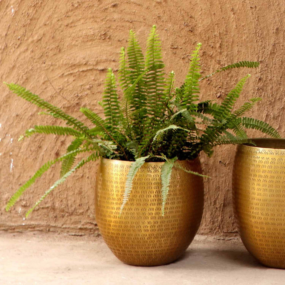 Vaso de flores oriental Vega